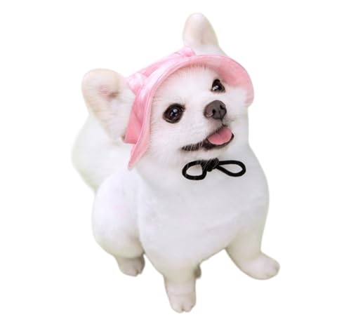 YAKINO ybgpLbv oybgpXq LppLbv Ă̓h pqpvX qLpvX (sN,M)