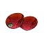 Fire Red Mirror - Polarized