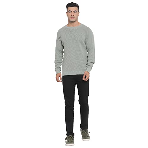 Image of Red Tape Men's Pastel Green Sweater