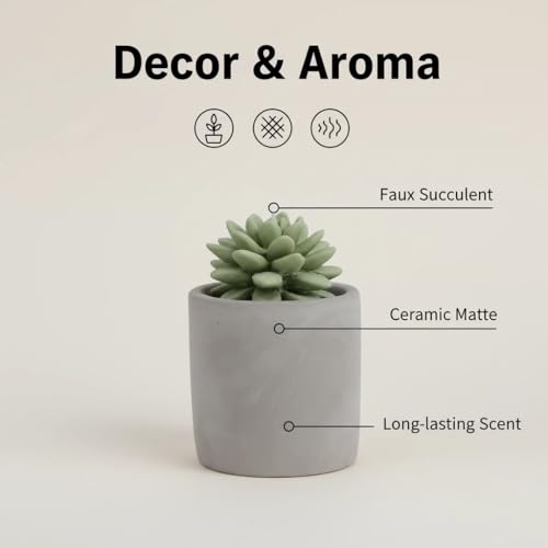 Difusor de Aroma Pretty Valley Home Succulent Gypsum Cerámico miniatura 5