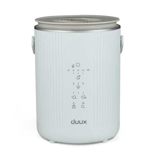 duux スチーム式加湿器 Dawn（4L）
