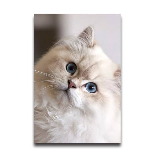British Longhair Breed Custom Poster Personalized Your Photo Wall Art Poster for Living Room Bedroom 12" x 16"
