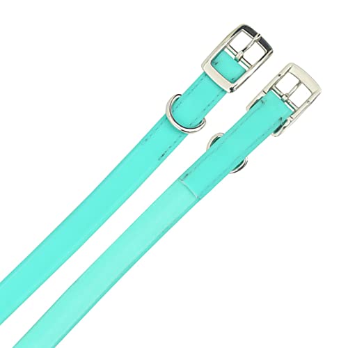 Image of Lightweight, Waterproof & Odour Proof Dog Collar - Large, Turquoise