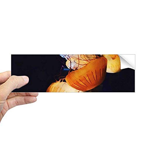 Sticker rectangulaire méduse tropicale transparent pour vitre - 2