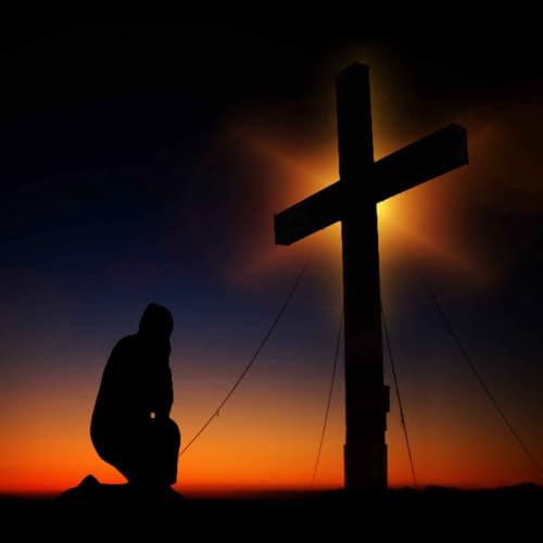 Reflection 87- The Will of God in All Things