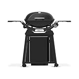 Weber Q2200N Gasgrill mit Wagen