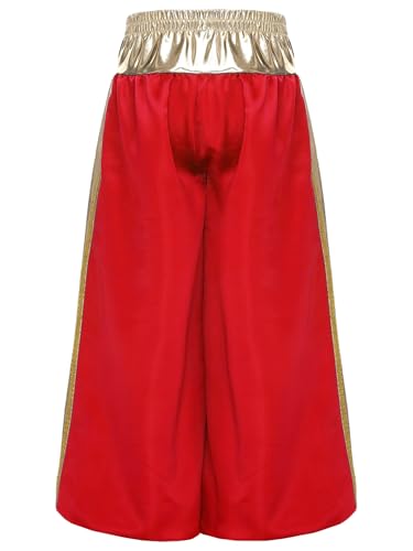 Arabian Prince Pants for Little Big Boys Sparkly Waist Loose Fit Party Wear2