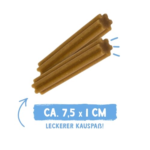 Sammy´s Zahnstengel | Kauriegel Snack für Hunde | Zur aktiven Unterstützung der Zahnpflege |ohne Zuckerzusatz| Natürlich| Fettarm|