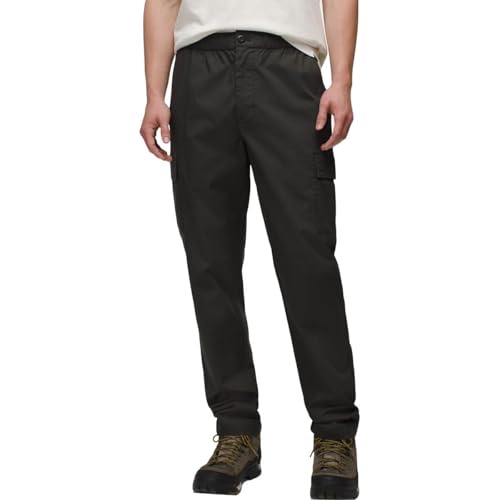 Prana Men's Palisades Ripstop Cargo Pants, Dark Iron