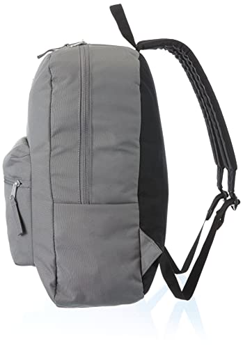 JANSPORT Bag, Unisex Adult Backpack, Grey (Grey), 42x32x143