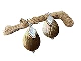 Perlmutt Tropfen (Handmade), Silber eingefasste Perlen Ohrringe*Naturschmuck*Statement*Meeres Schmuck*Strand Hochzeit*LIEBLINGSSTÜCKE