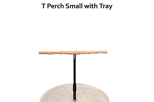 Parrot Training Perch Stand With Potty Tray (Small T Perch) #TOP2