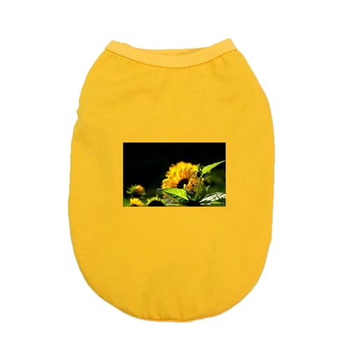 [XANPYO] ybg CG[ ybg ̕ L̕   U o  LOBe ^ tďH TVc  hbOEFA t S X|[c ^Ngbv _炩 Eѕی U
