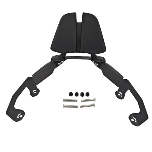 Coussin dossier arrière moto Forza350 pour éviter la fatigue du passager