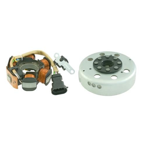 RIDE AND CUSTOM Volant Moteur Compatible avec Piaggio Fly 2T 50 2010-2011