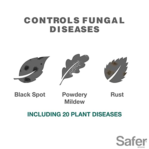 Safer 5192-6 Brand 16 oz Horticultural & Dormant Spray Oil Concentrate, Green