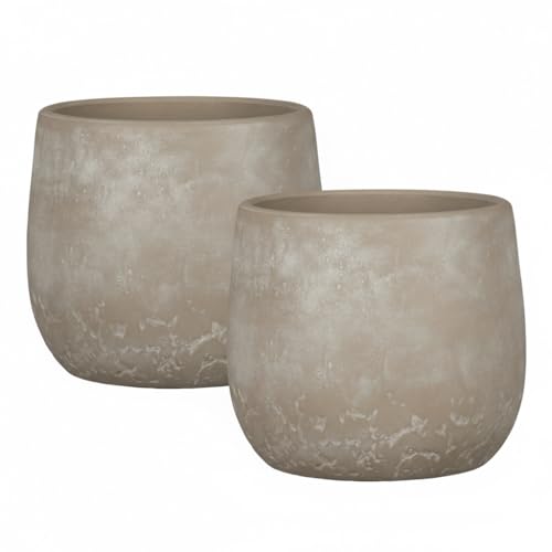 Scheurich Dune, Blumentopf aus Keramik, Farbe: Washed Cream, 15,2 cm...