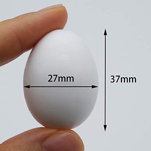 5 Pcs Solid Parrot Dummy Eggs Hatching Eggs Mini Macaw Amazon Cockatoo African Grey Eclectus. Trick The Birds to Stop Laying Eggs, Dummy Eggs（37mm27mm）