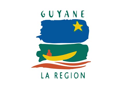 Drapeau de la Guyane finitions soignées et œillets renforcés - 2