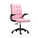 SHZSR Chaises Longues Chaise De Bureau À Dossier Haut, Chaise De Bureau Pivotante pour Ordinateur avec Appui-tête Et Support Lombaire, Chaise De Conférence Réglable Ergonomique Et Confortable