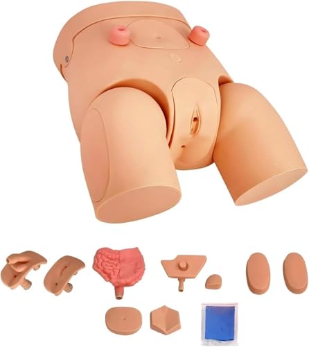 Kit de simulateur de cathétérisme en PVC haute fidélité anatomique