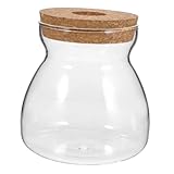 BAZEITFLOW Terrario de Vidrio con Tapa Perforada para Plantas Hidropónicas Contenedor Transparente para Micro Paisaje Jarrón Decorativo para Suculentas y Ecosistema Interior Mediano Forma de