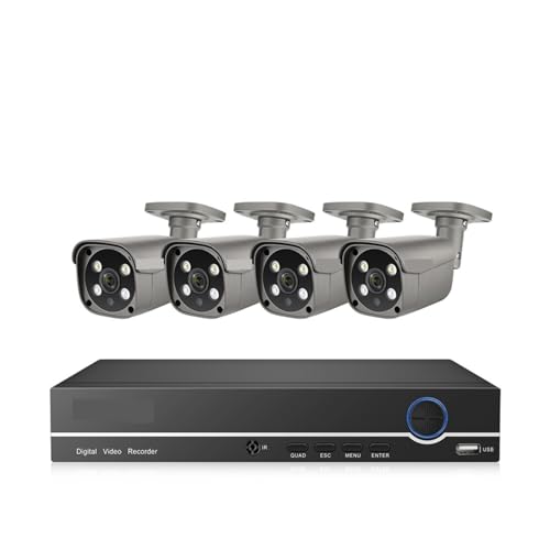 Sistemas de cámaras CCTV, Kit de videovigilancia de Seguridad de 8 Canales y 5MP, visión Nocturna en Color, CCTV Impermeable for Exteriores, cámara IP PoE bidireccional(1T,8CH NVR (4Cameras))