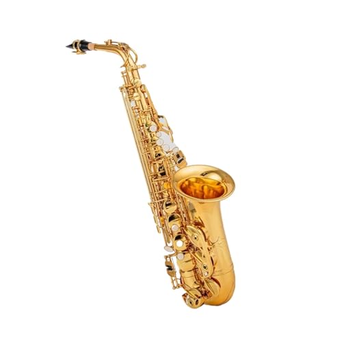 TbNX vtFbVi AgTbNXiP[XA}EXs[XAANZT[tj