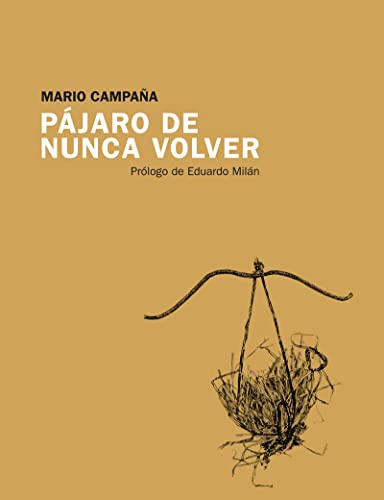 Portada de Pájaro de nunca volver
