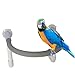 XJKLBYQ Bird Shower Perch Parrot Bath Stands Supplies Holder Window Bird Standing Toy for Cockatoo Small Round, Parrot Bath Stand