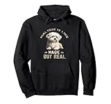 Playful Maltese Toy Dog Maltipoo Lover
