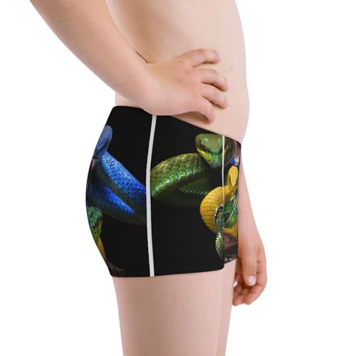 Boys' Cotton Boxer Brief Soft Underwear-Colorful Viper Snake2
