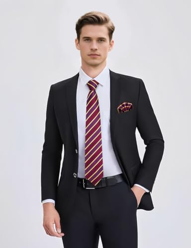 Image of YourTies Striped Plaid Ties for Men Silk Formal Necktie Set