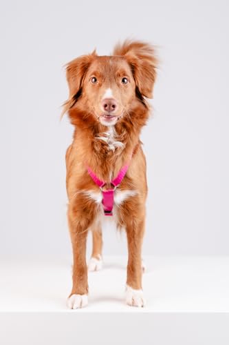 Chaba Guard Hundegeschirr für mittelgroße Hunde mit Kontrolle, Anti-Zug & Würgen, Verstellbar, Komfortabel und Leicht, Classic Step-in Brustgeschirr, Laufgeschirr, Dog Harness, Größe L, Fuschia