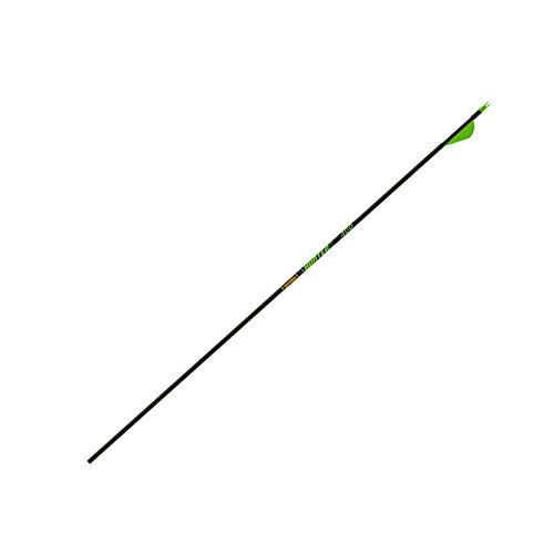 Gold Tip Hunter XT Arrows with 2-Inch Raptor Vanes...