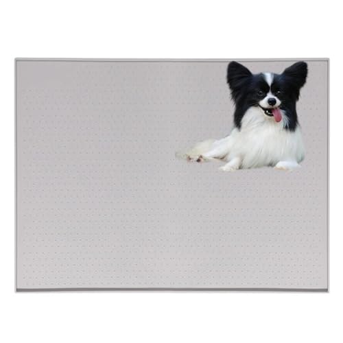 Lifetips psiPapillonj gC}`FX^[eA ybggC}bg VR h ~ 􂦂  L V[gh~ g[p t[Oی ybggC}bg VR}bg ΍ gCV[gŒ