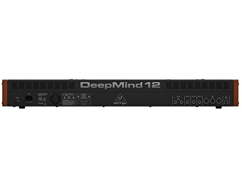 Behringer deepmind12 – Clavier - Les Beatles, Paul McCartney, John Lennon, RIngo Starr, George Harrison Behringer deepmind12 – Clavier – Image 3