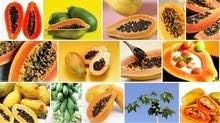 Papaya - Dwarf Variety Soft Mixed Fruit 50 seeds