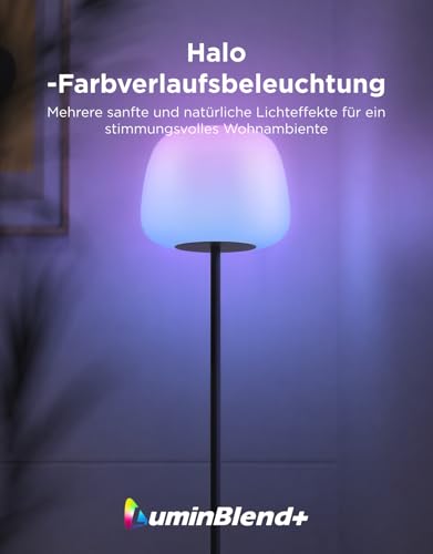 Govee Laterne Stehlampe LED, RGBICWW Stehlampe Dimmbar 1000K-10000K Schwarz – Ansicht 2