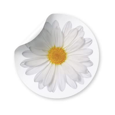 Pack of 180 Daisy Flowers Paper Labels, 37mm Self-Adhesive Stickers, Multipack Craft Decor Labels