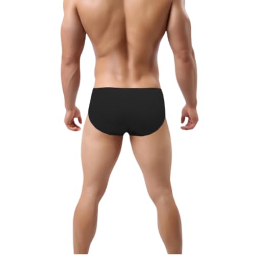 ZONBAILON Mens Sexy Front Opening Fly Access Briefs Low Rise Bulge Enhancing Pouch Bamboo Viscose Underwear Pack3