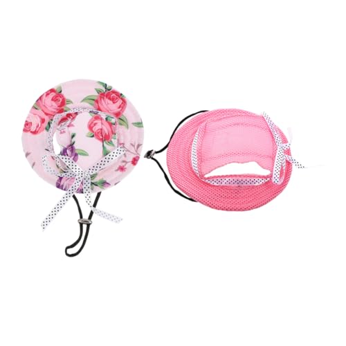 healvian 2 pT}[ChuXq ߉\Ȏt ^L 悯 Oh~ or[`Be _ sN XgCv