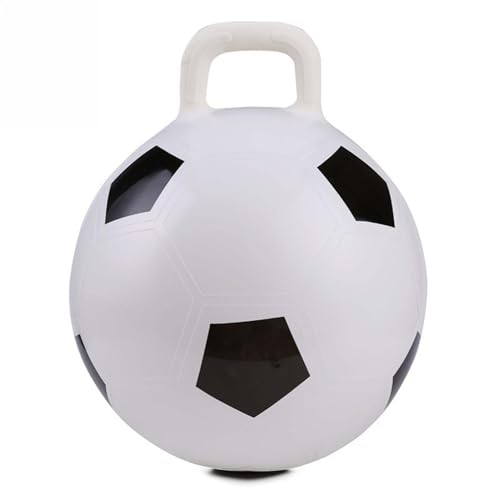 Wv{[ q zbp[{[LbY 45cm PVC ֎qCt[^uGNTTCY WsO   wZ K (tbg{[) [sAi]