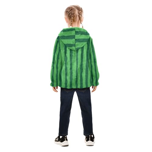 GuoChe Watermelon Stripe Boys Hooded Fleece Jacket4