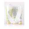 Mary Kay Satin Hands