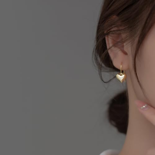 SLUYNZ Solid 925 Sterling Silver Heart Drop Earrings for Women Teens Love Heart Dangle Earrings Hook2