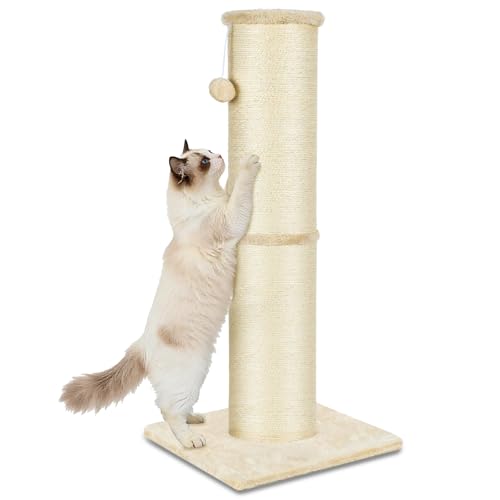 PAWSCRAT Cat Scratching Post 32 Inch High, 5.5 Inch Large