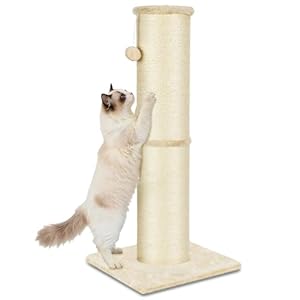 PAWSCRAT Cat Scratching Post 32 Inch High, 5.5 Inch Large Diameter Natural Sisal Cat Scratch Post, Scratch-Resistant and Durable Tall Cat Scratcher for Indoor Cats, Protect Your Furniture, Beige