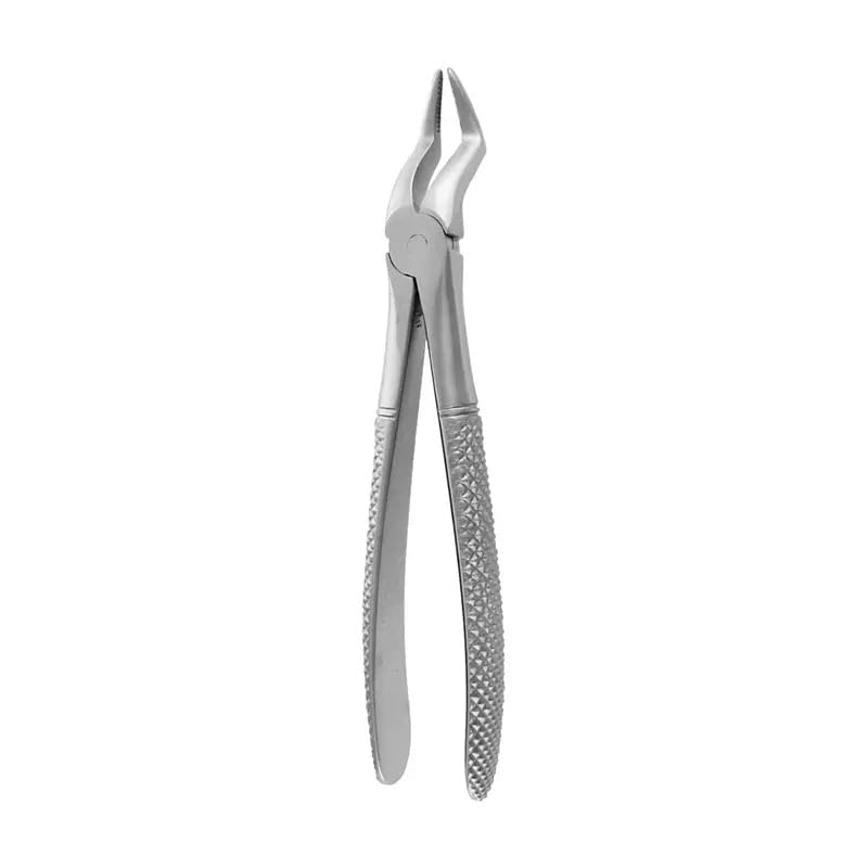 COVETRUS Forceps N51A RAICES