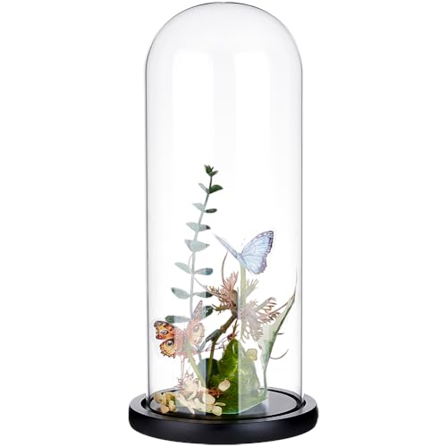 BENECREAT 4.6x12inch Eternal Transparent Flower Glass Cover, Glass Display Dome Cloche Jar with Black Solid Wood Base for DIY Flower Craft